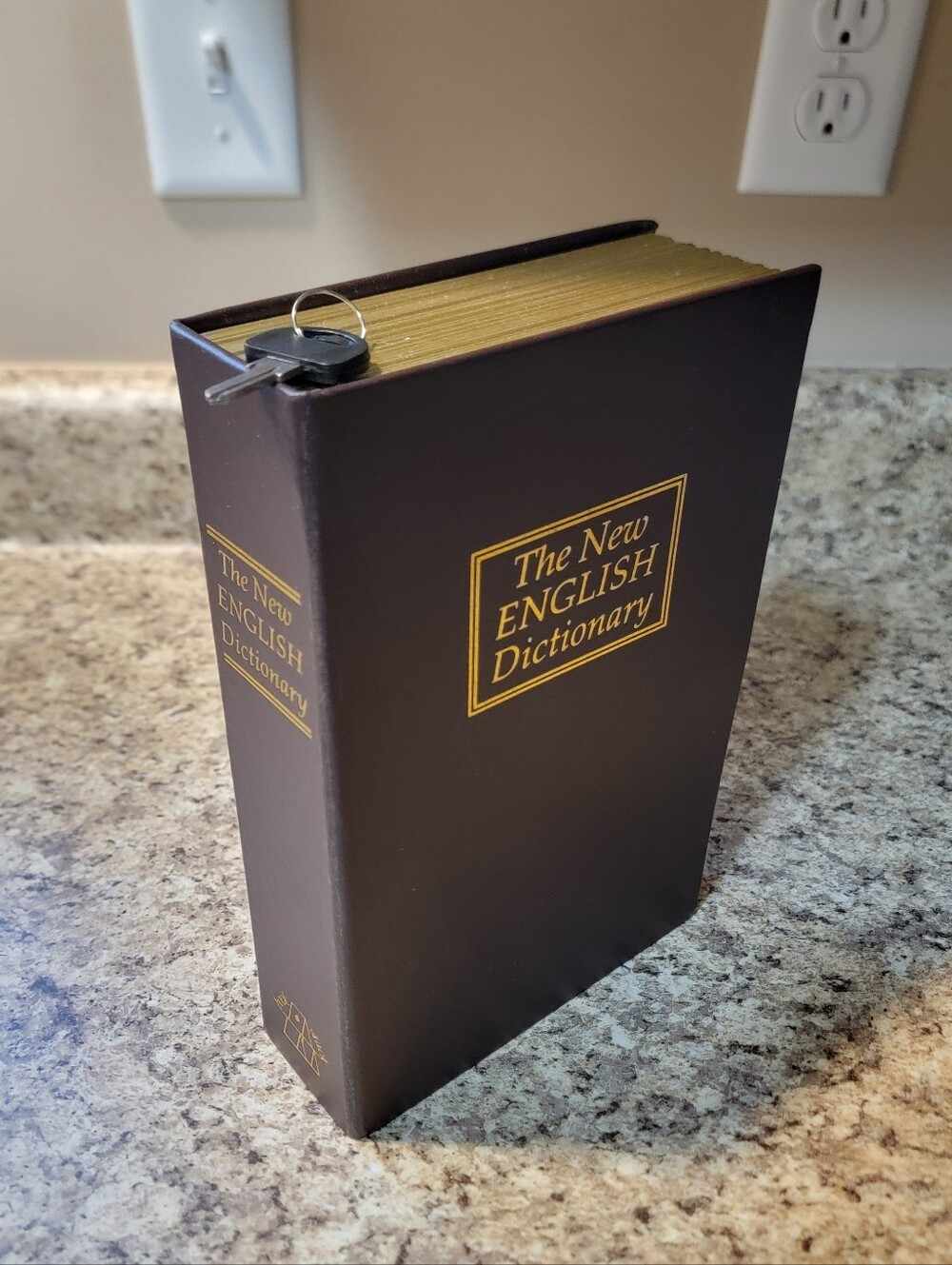 Dictionary Diversion Book Safe Lock Box